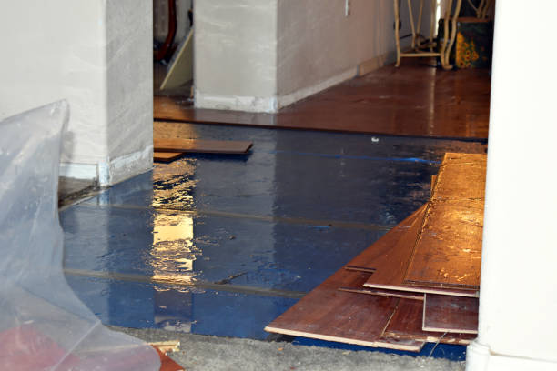 Professional Burst Pipe Cleanup technician working in Prairie Village, KS